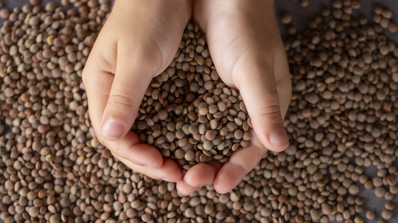 hand holding lentils