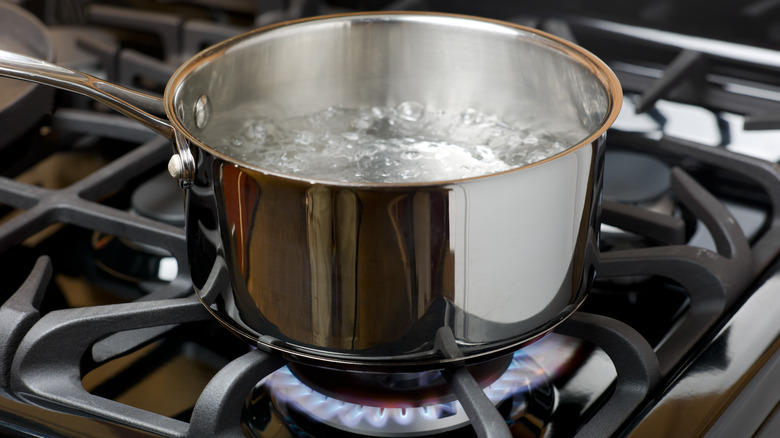 boiling pot of water on stovetop