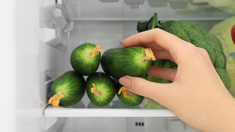 Hand holding cucumber in refrigerator 