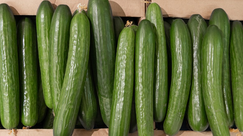 A pile of green cucumbers