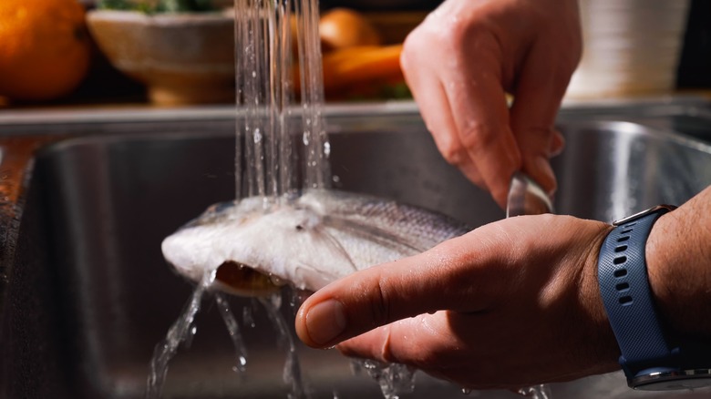 Cleaning fish in a sink