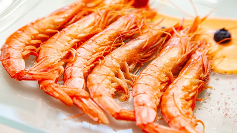 shrimp lined up