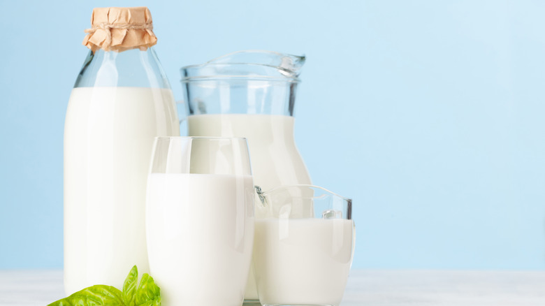 Glasses and containers of cream and milk