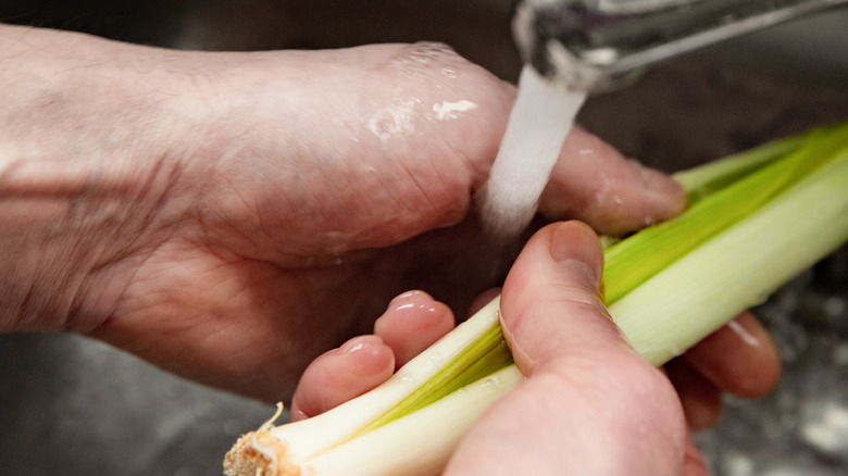 Washing a leek