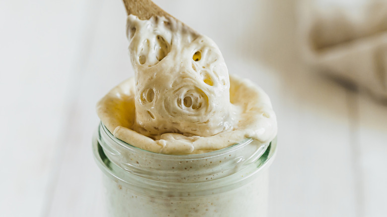 Stirring bread starter with spoon 