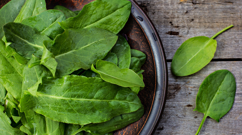 bowl of sorrel leaves