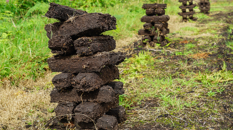 bricks of peat