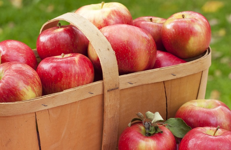 Minnesota: Honeycrisp apple