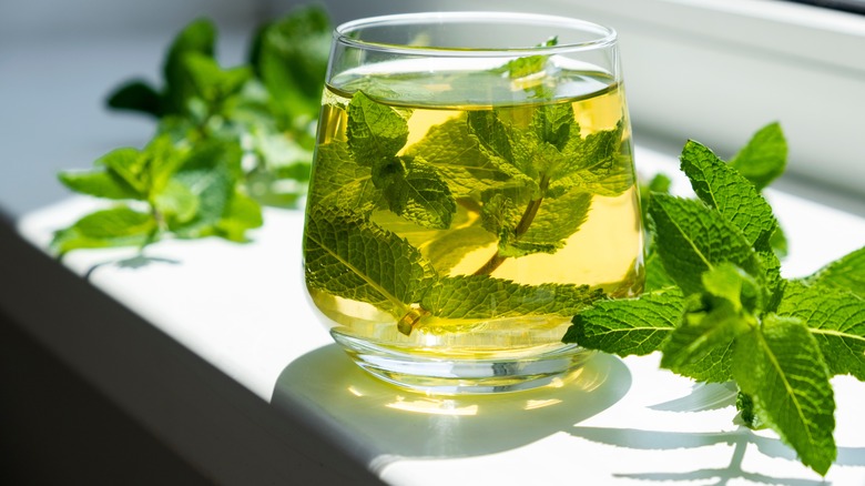 Glass of iced tea with mint leaves