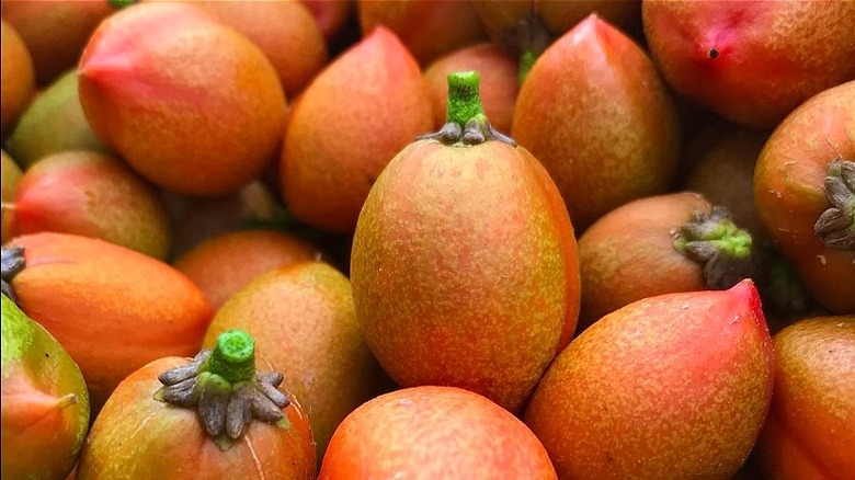 Peanut butter fruits 