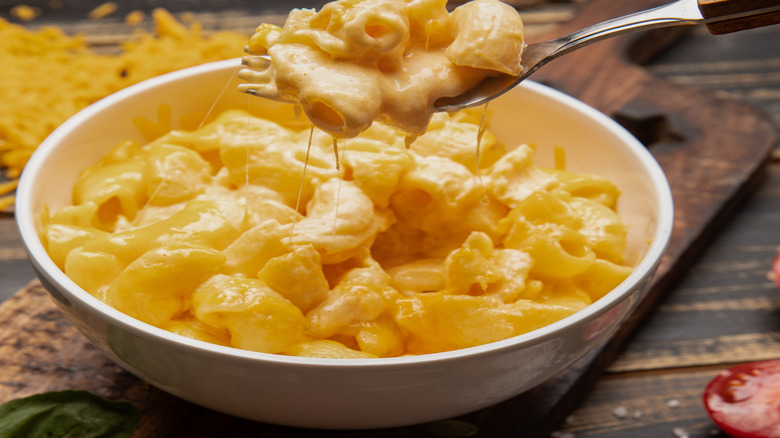 Forkful of creamy mac and cheese.