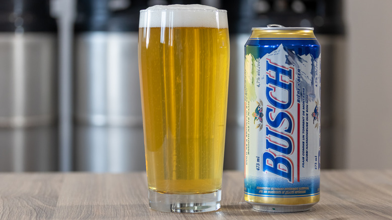 A glass of Busch beer