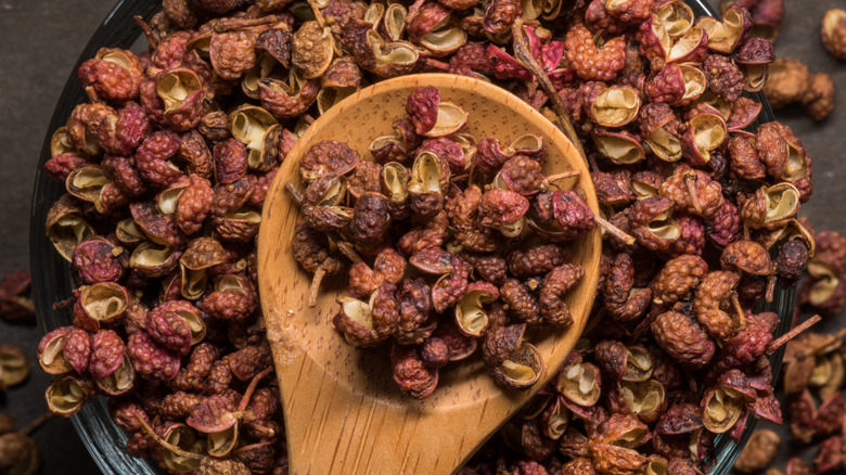 Reddish Sichuan peppercorns on a spoon