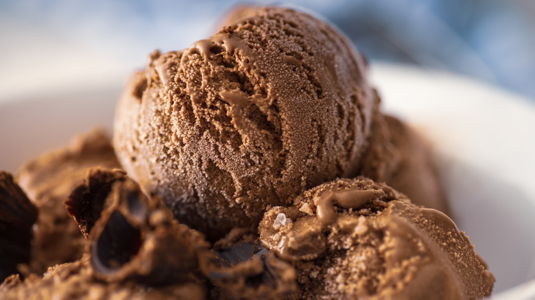 Bowl of chocolate ice cream