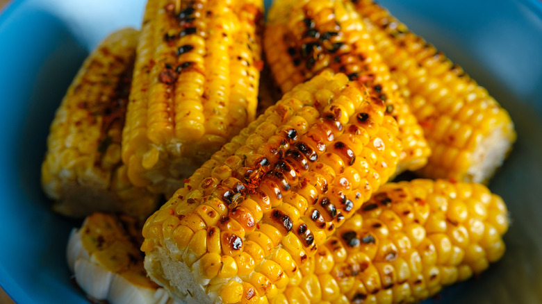 Grilled corn on the cob