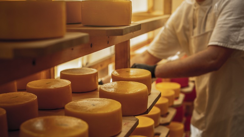 Man making wheels of cheese