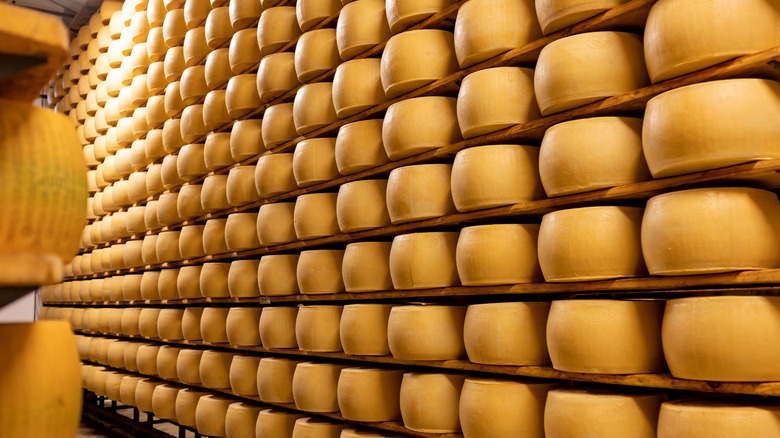 shelves full of parmesan cheese