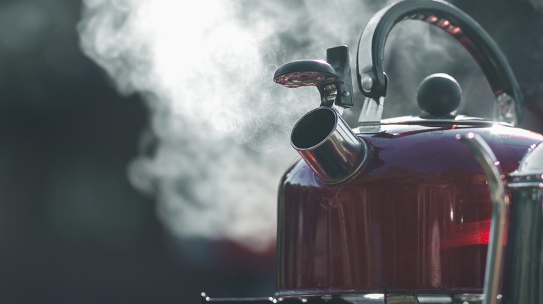 Red kettle steaming on stove