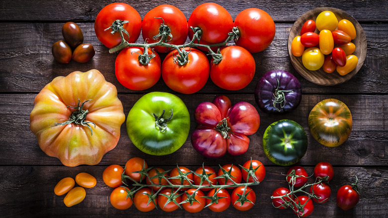 different tomato varieties on wooden surface