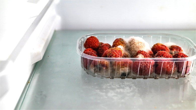 Moldy raspberries in plastic container 