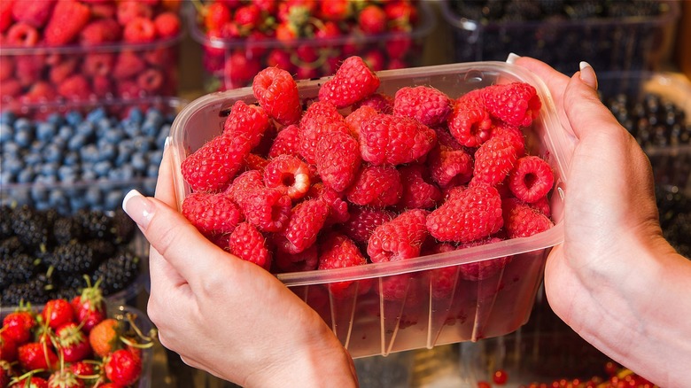 Hands holding container of fresh raspberries 