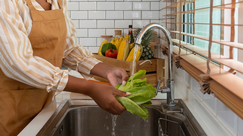 Woman washing lettuce