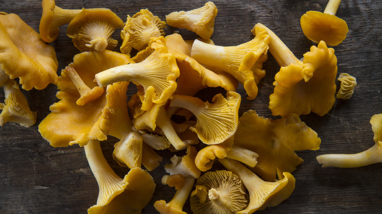 Chanterelle mushrooms on table