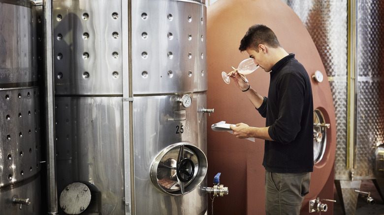 man checking wine fermentation tanks