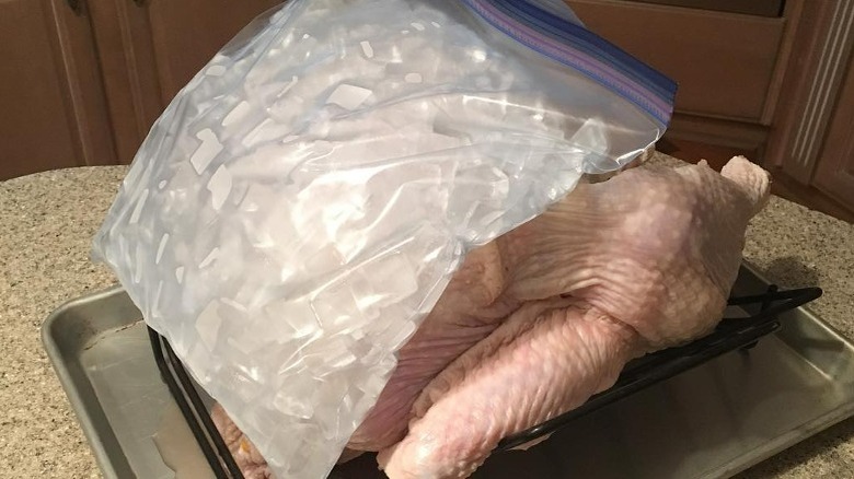 Turkey with icepack on it