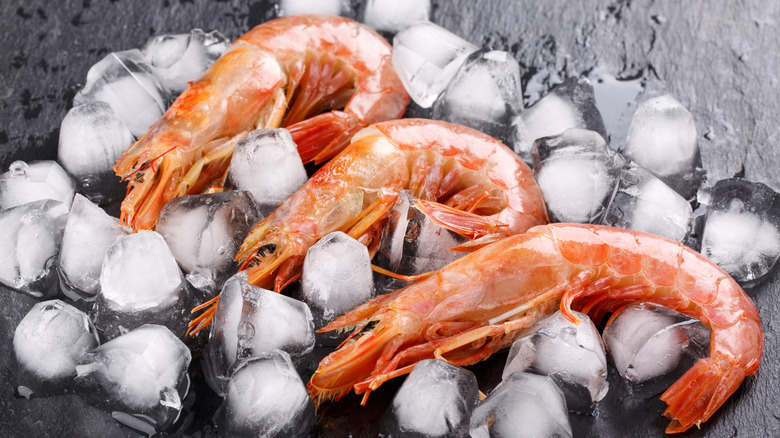 Shrimp on ice