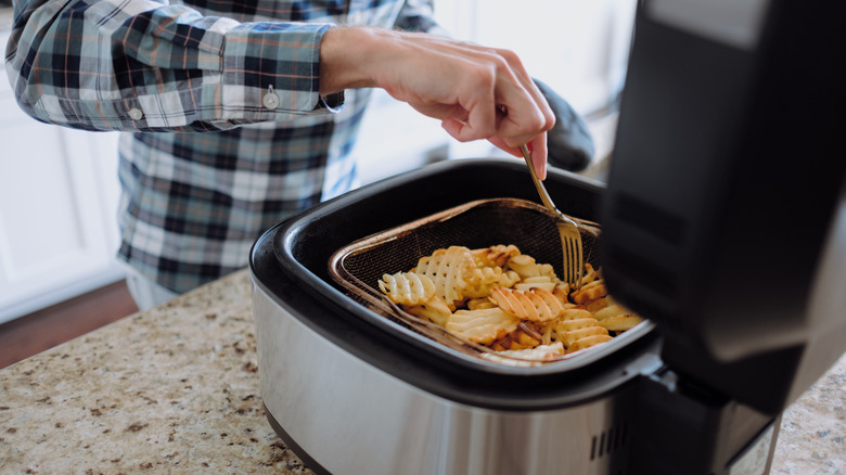 Person using an air fryer