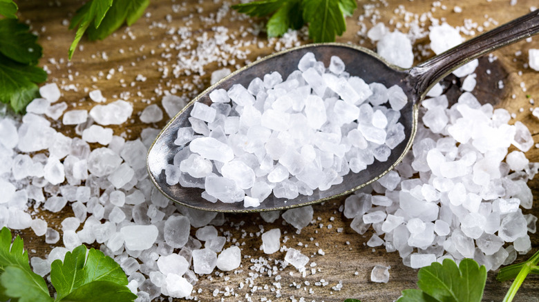 spoonful of rock sea salt on table