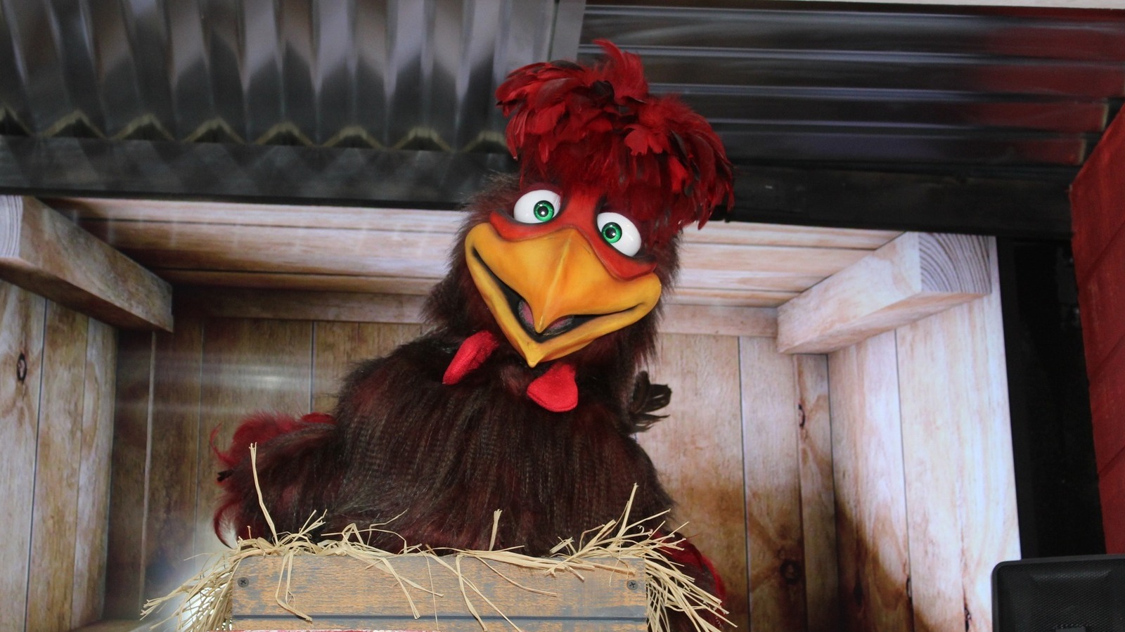 the-tennessee-restaurant-with-over-100-animatronic-chickens