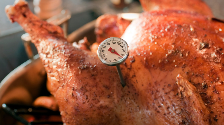 Thanksgiving turkey with a thermometer inside to get temperature