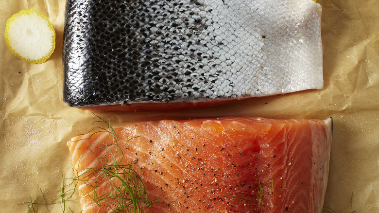 salmon fillet with skin closeup