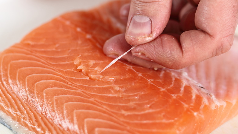 pin bones in salmon