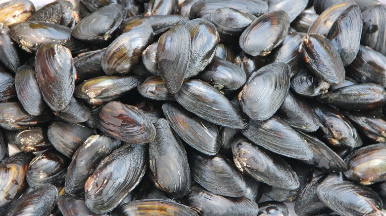 Closed mussels