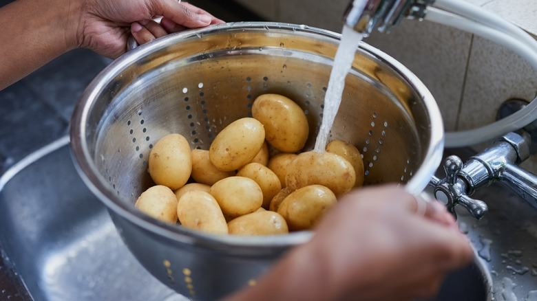 Person rinsing potatoes