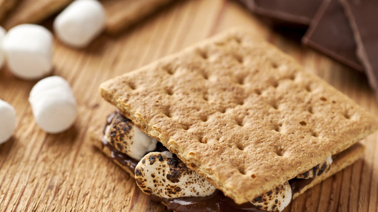 s'more on graham crackers