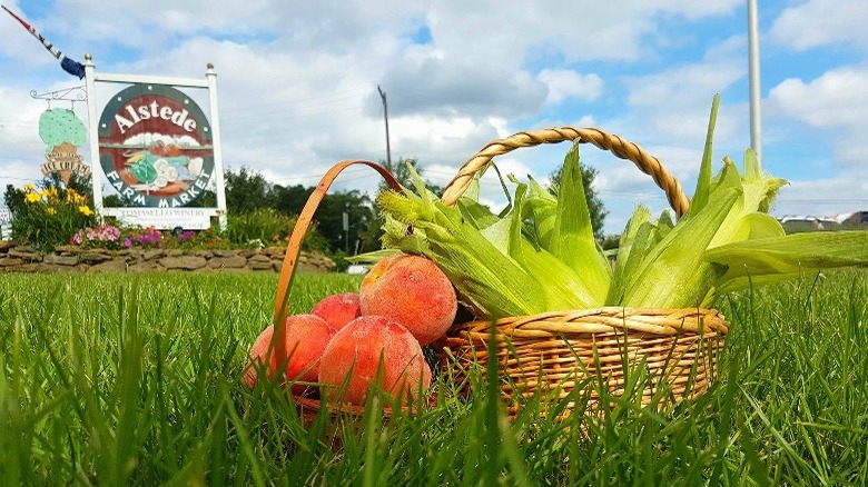 Baskets of corn and peaches