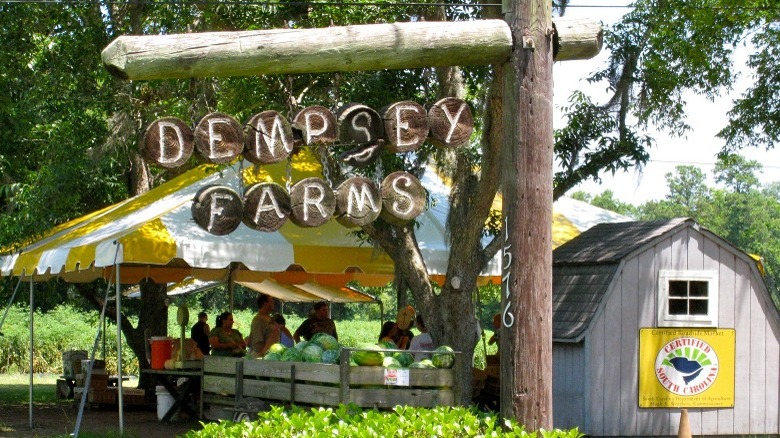 Dempsey Farms wooden sign