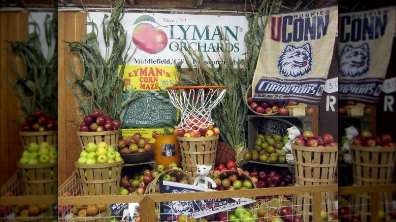 Lyman Orchards market display