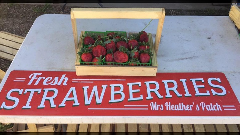 Mrs. Heather's patch fresh strawberries 