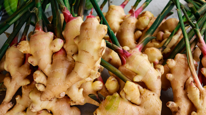 fresh ginger root