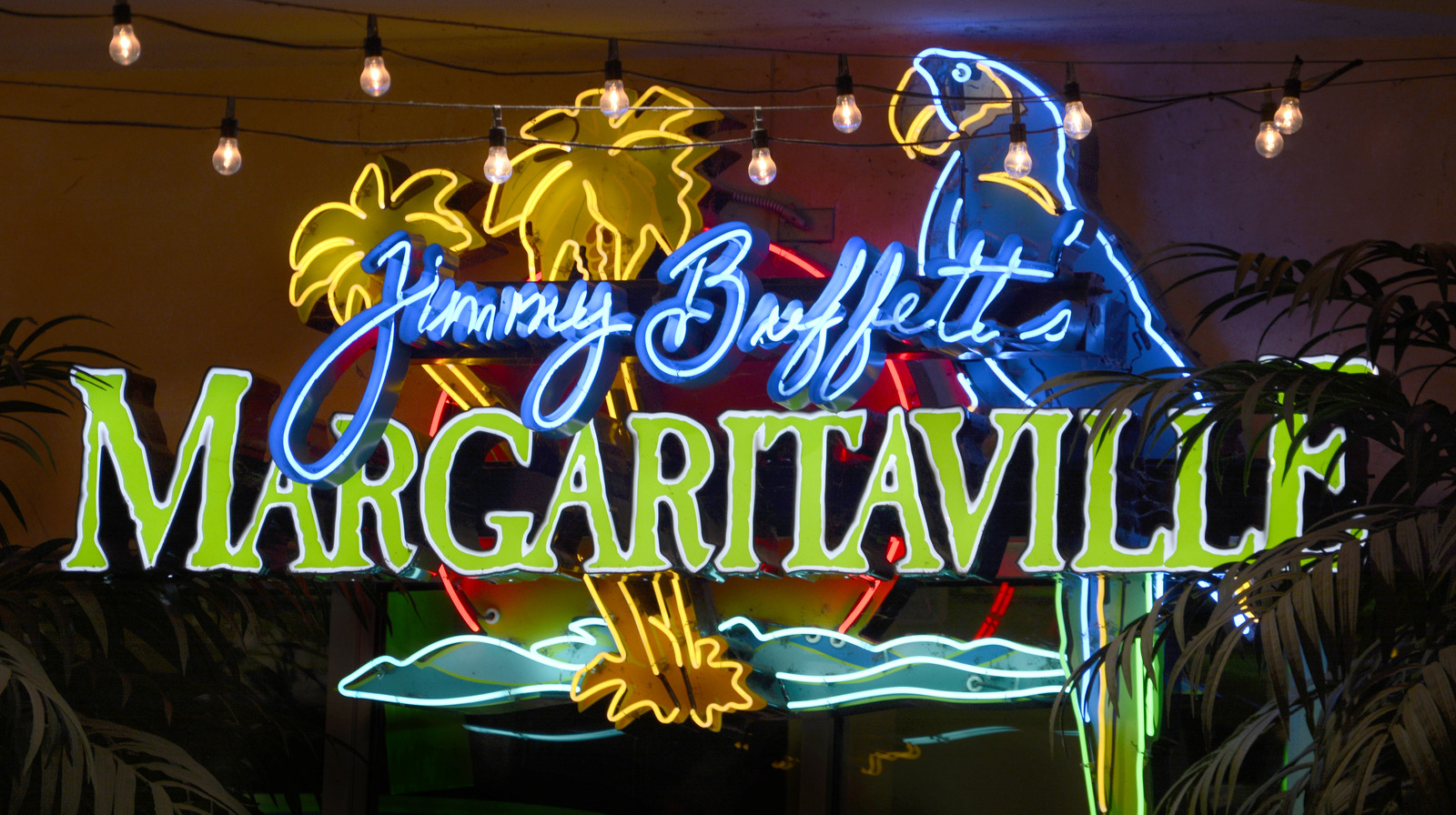 Margaritaville Night