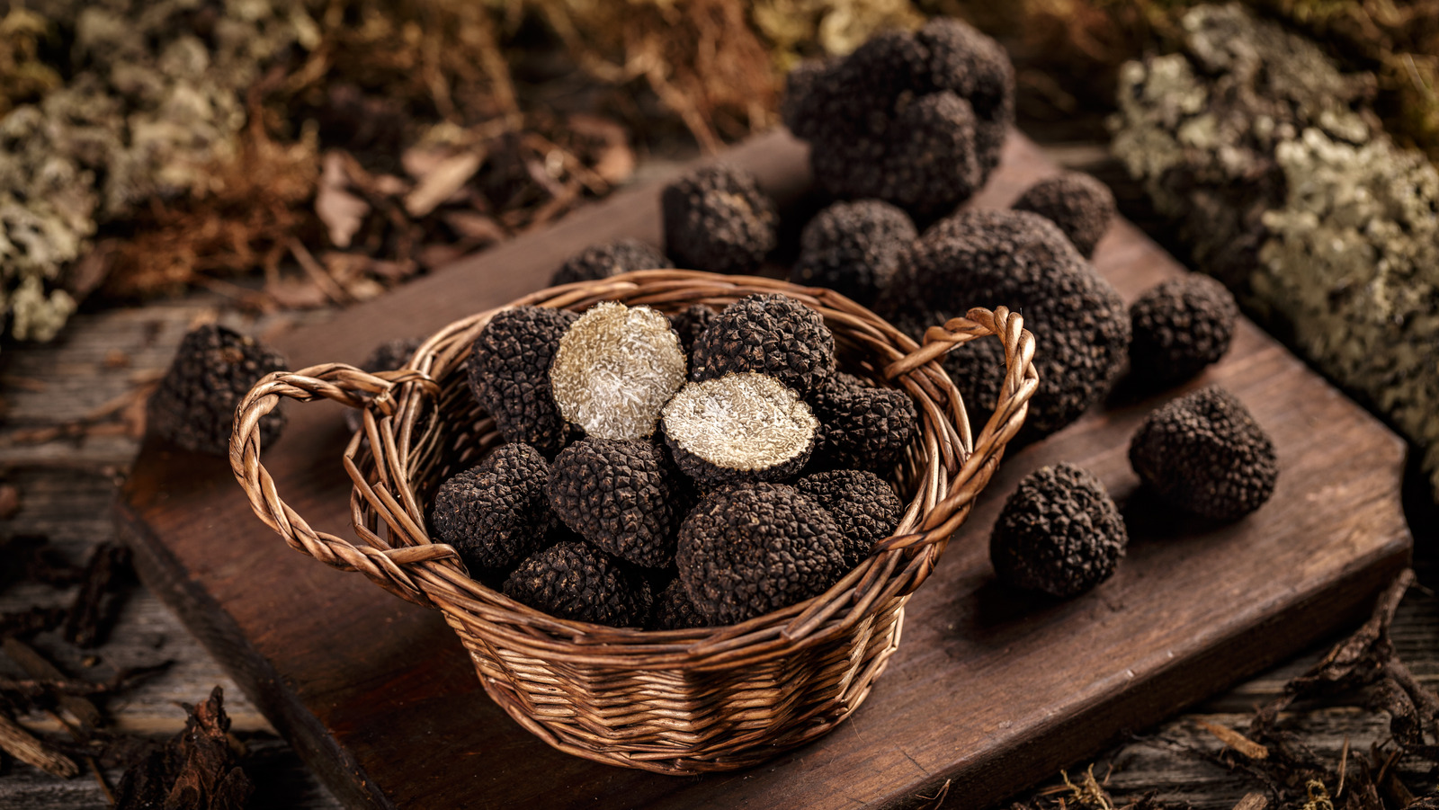 The Truly Ancient Origins Of Truffles