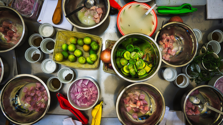 ceviche ingredients overhead view