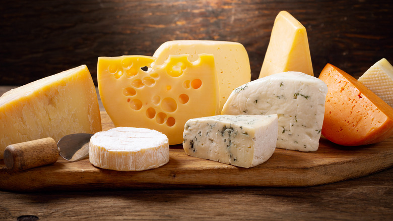 Different types of cheese 