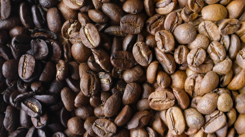 different roasts of coffee beans