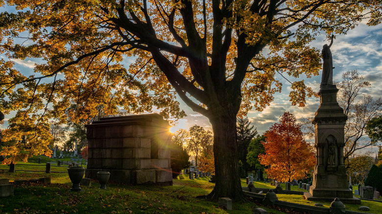 Green-Wood Cemetery in the fall